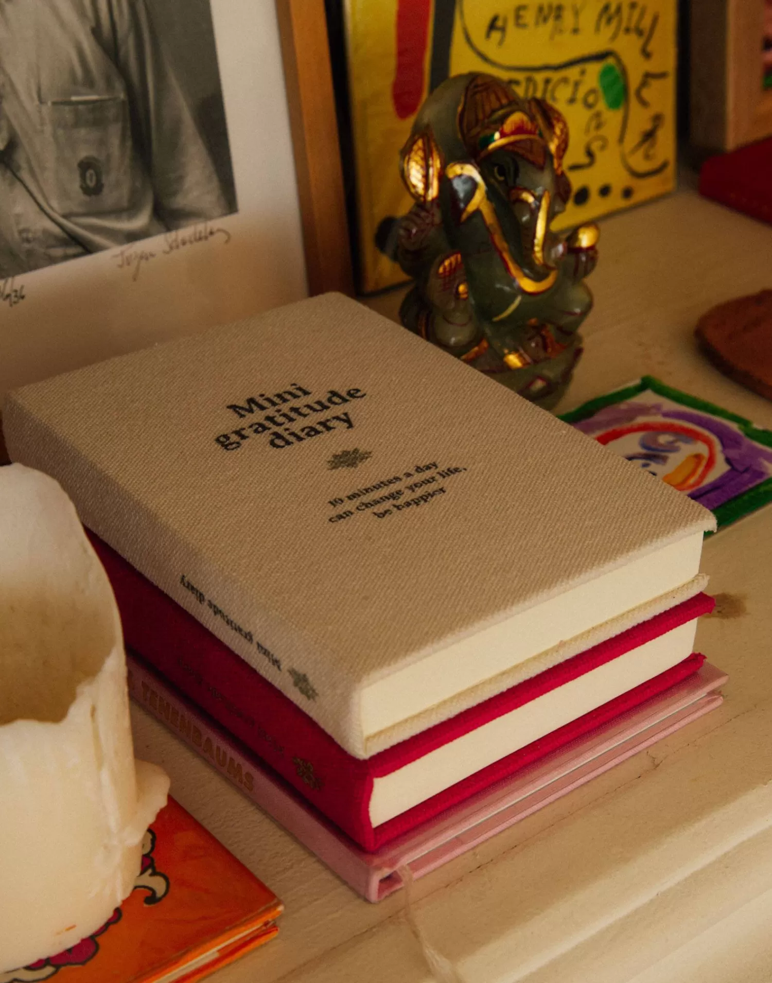 Carnet Élégant Gratitude Natura - Mini Journal Positif Édition Limitée