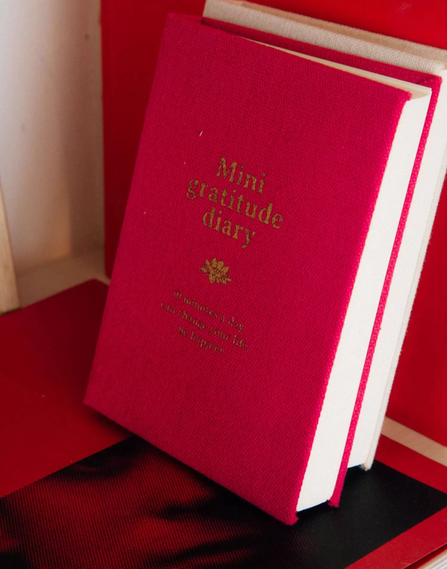 Carnet Élégant Gratitude Natura - Mini Journal Positif Édition Limitée