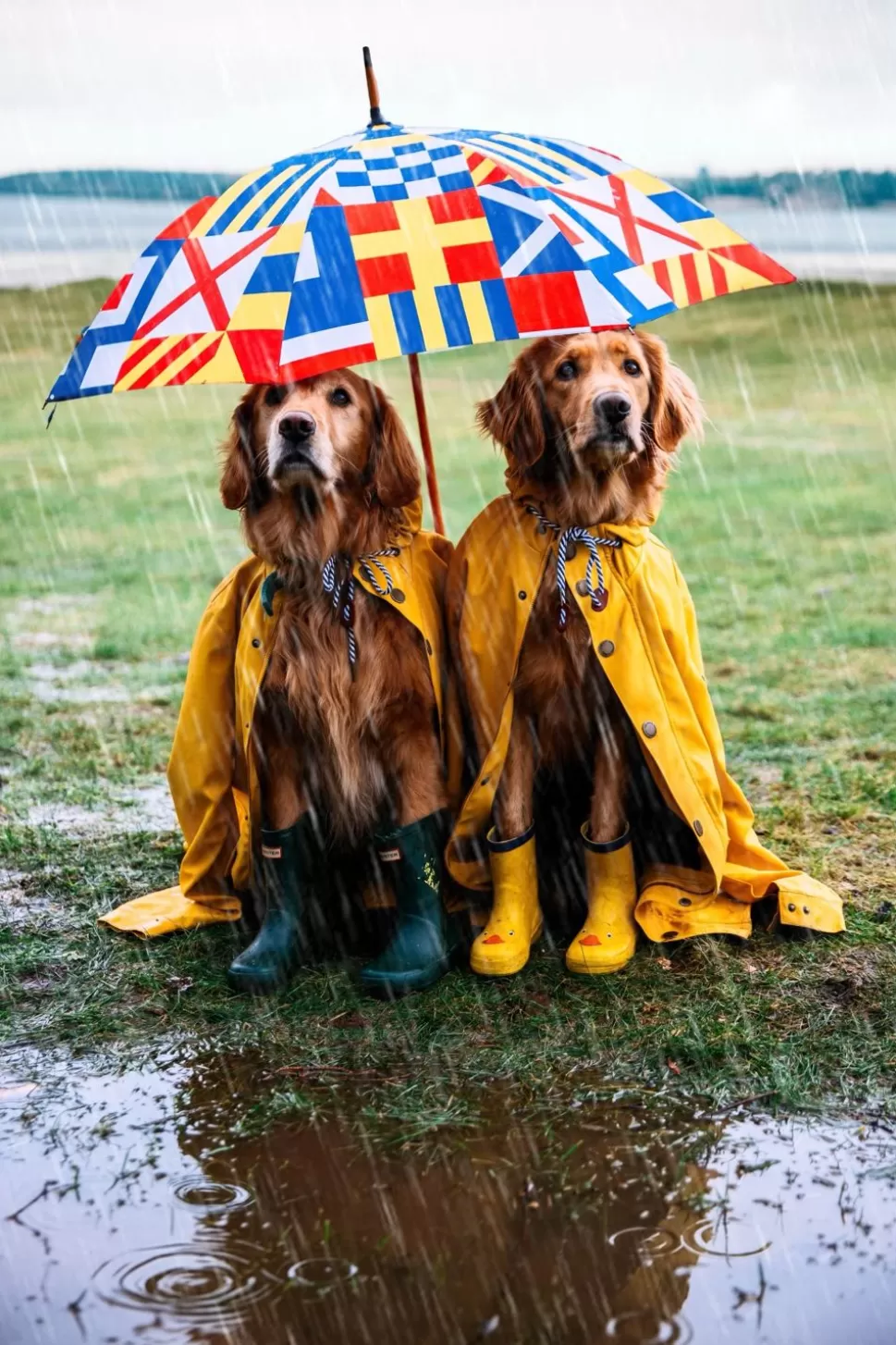 Élégant parapluie nautique signé Kiel James Patrick  
Parapluie marin haut de gamme - Collection Kiel James Patrick  
KJP Umbrella Océanique : Style maritime intemporel  
Parapluie résistant aux intempéries par Kiel James Patrick  
L'Essentiel Marin : Parapluie premium KJP  
Kiel James Patrick - Parapluie de style marin artisanal  
Parapluie voyageur inspiré des embruns - Édition KJP  
KJP Maritime : Parapluie élégant pour aventures côtières  
Parapluie de luxe avec motifs marins par James Patrick  
Collection Kiel : Parapluie résistant au vent style capitaine